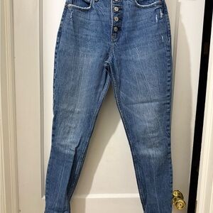 Abercrombie & Fitch High Rise Blue Jeans Curve Love